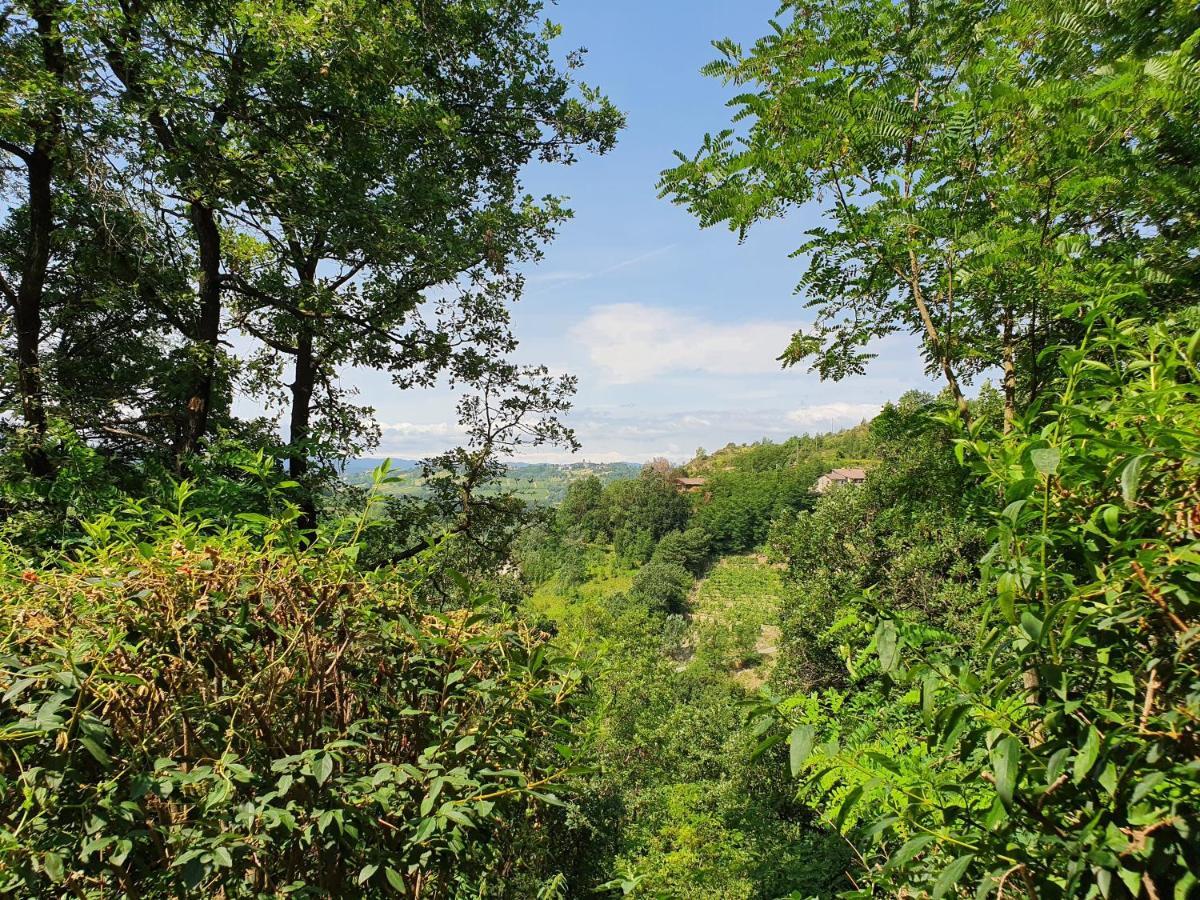 Agriturismo Il Burlino Apartments Lerma Exteriér fotografie