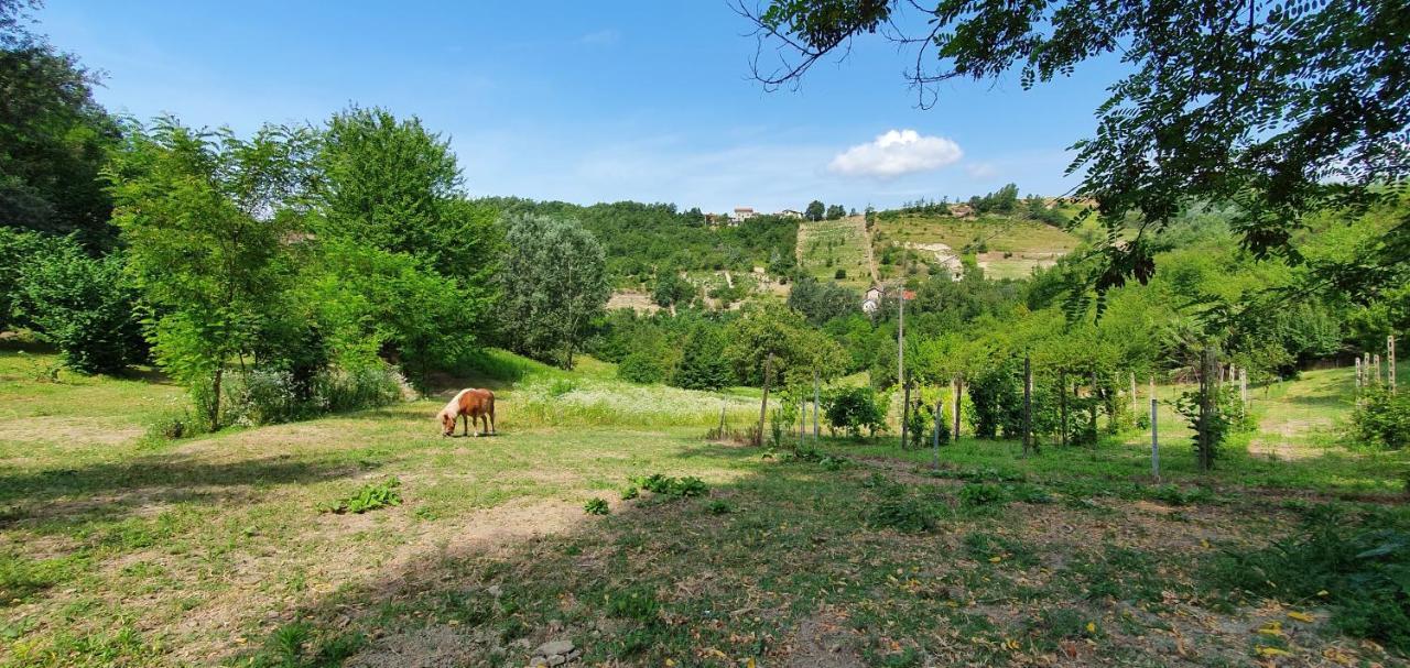 Agriturismo Il Burlino Apartments Lerma Exteriér fotografie