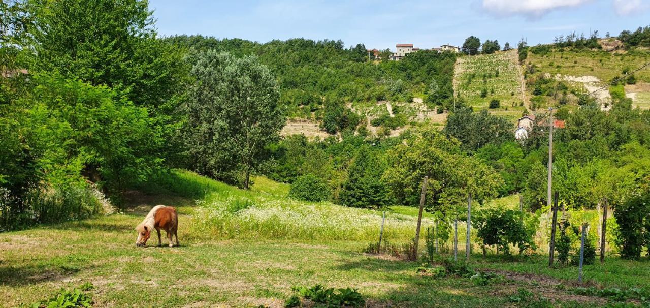 Agriturismo Il Burlino Apartments Lerma Exteriér fotografie