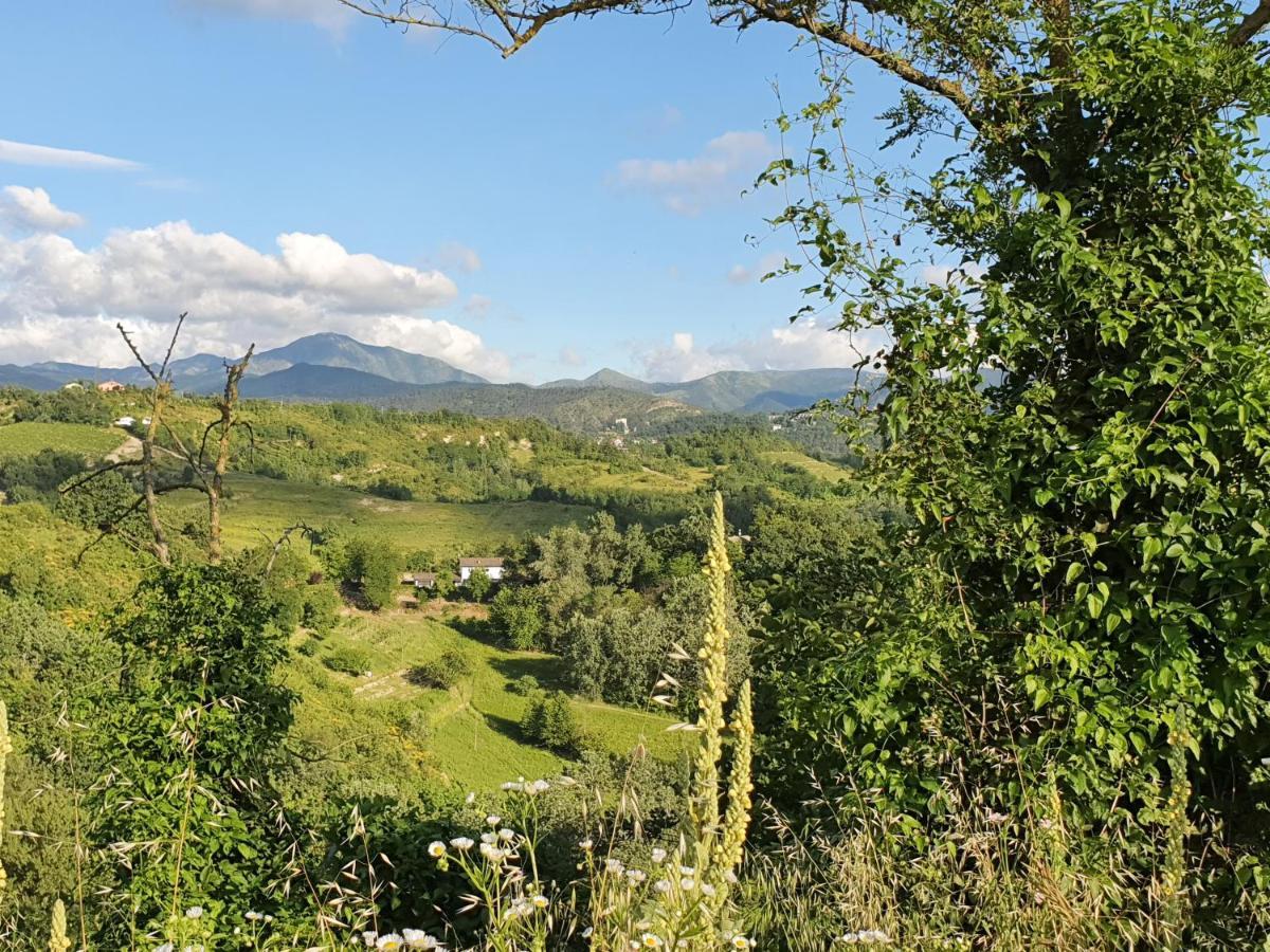 Agriturismo Il Burlino Apartments Lerma Exteriér fotografie