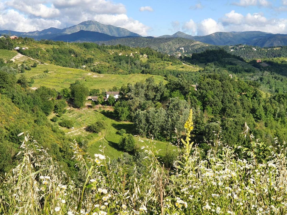 Agriturismo Il Burlino Apartments Lerma Exteriér fotografie